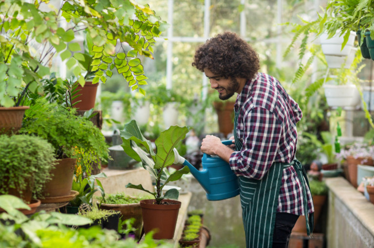 Man watering plants in the greenhouse