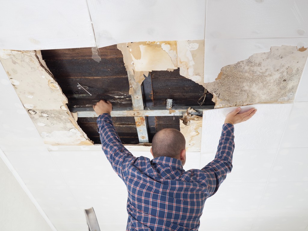 cleaning the air ducts