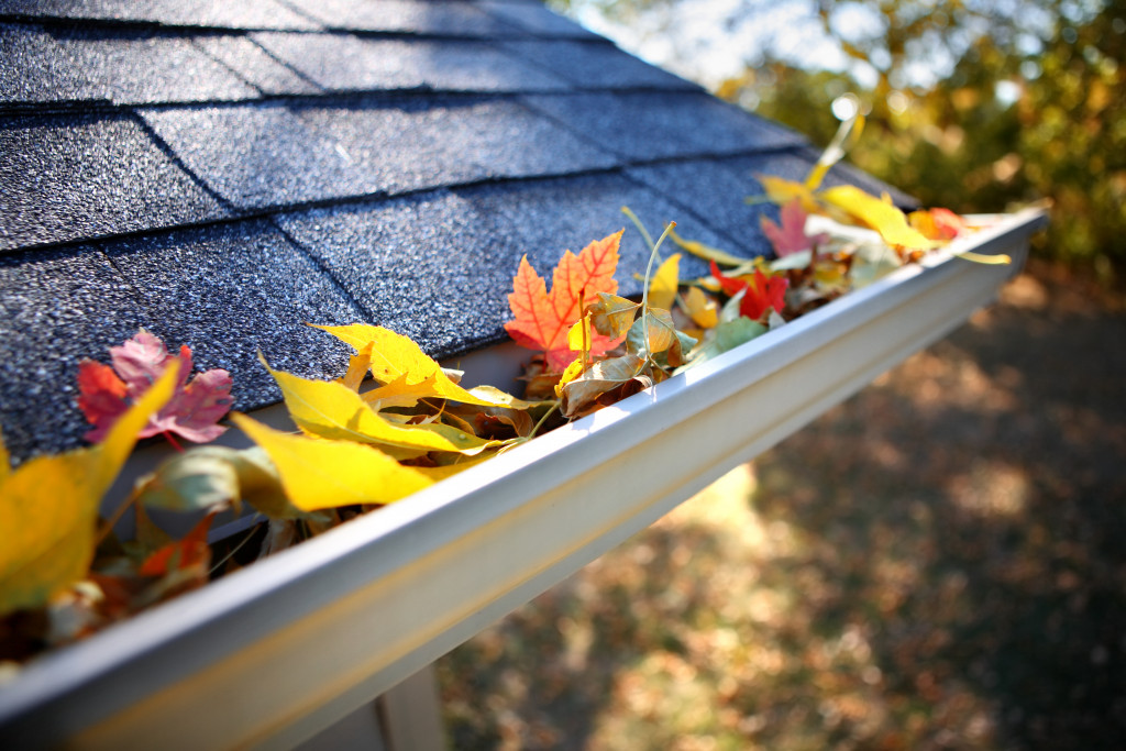 roof gutter filled with autumn leaves