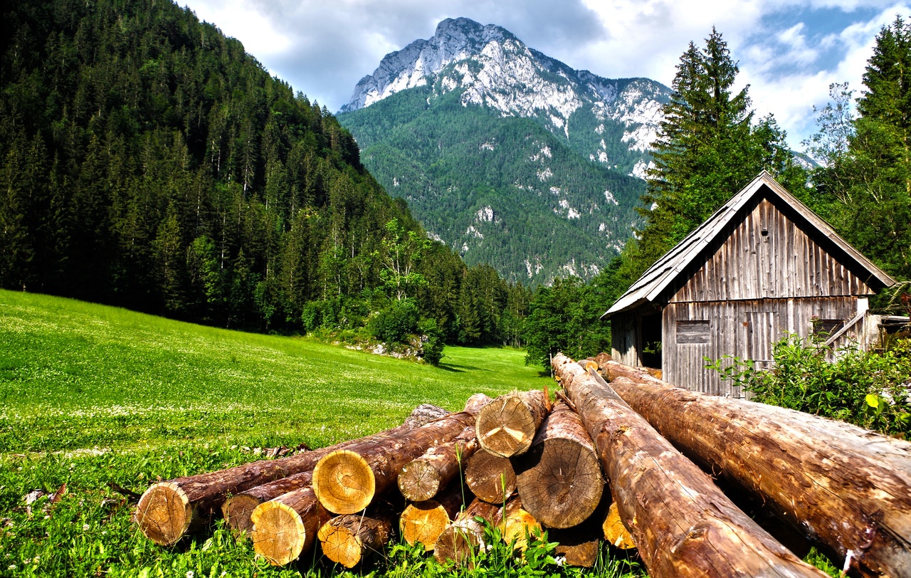 logs near a cabin