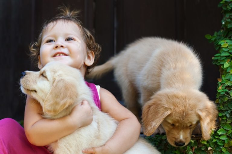 child with cute dogs