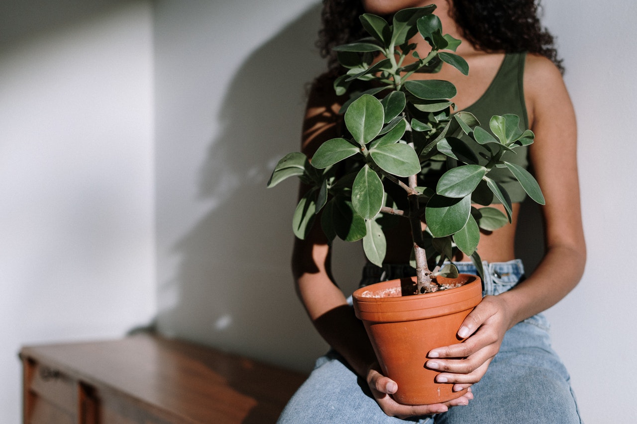 woman holding a plant