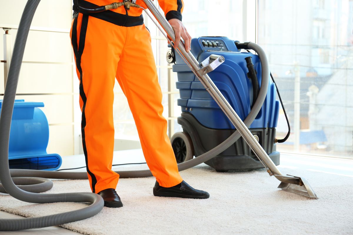 professional cleaning service