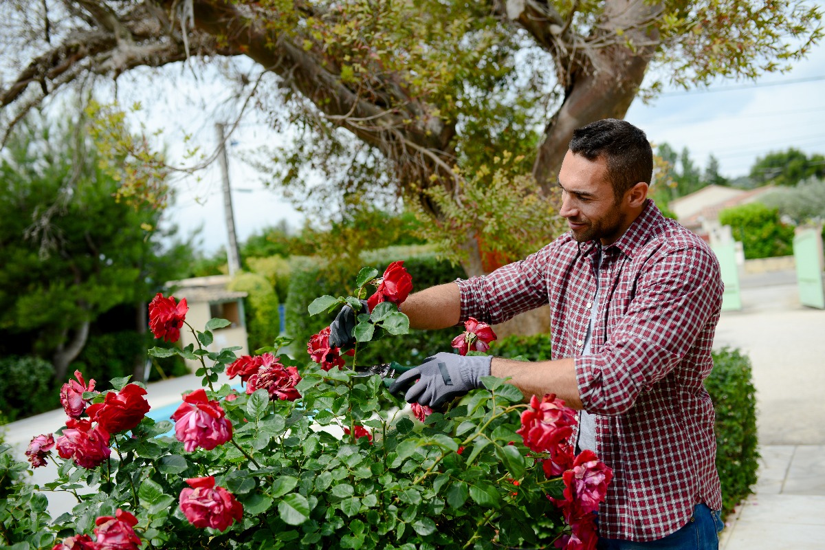 man gardening