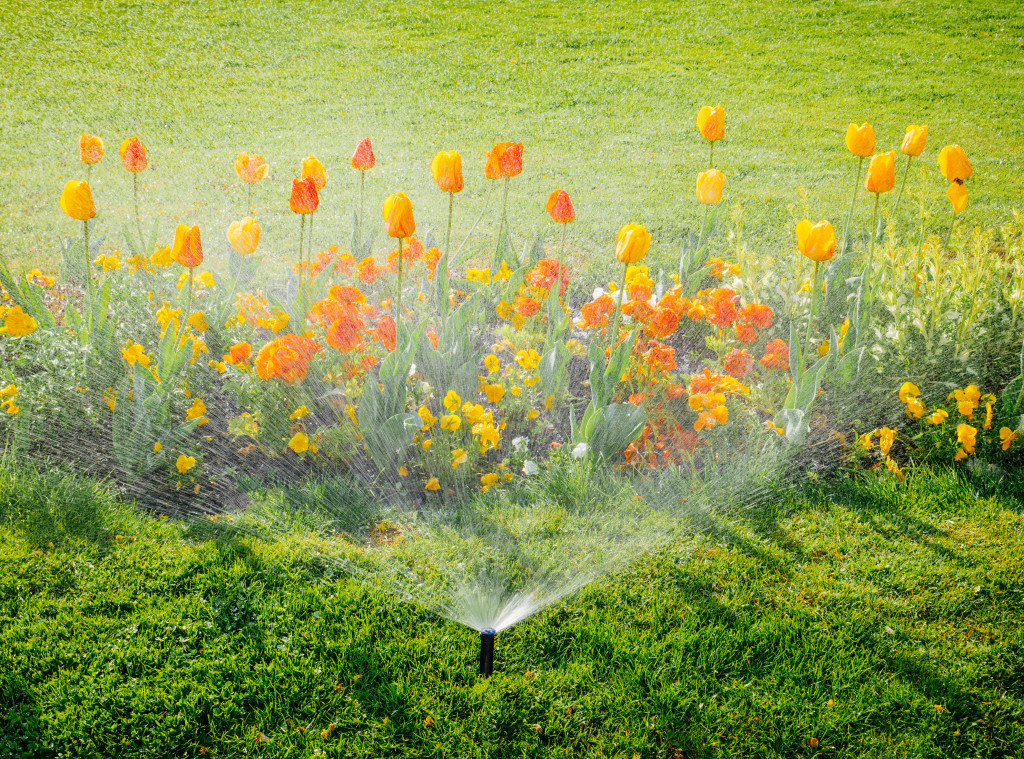 front lawn with flowers