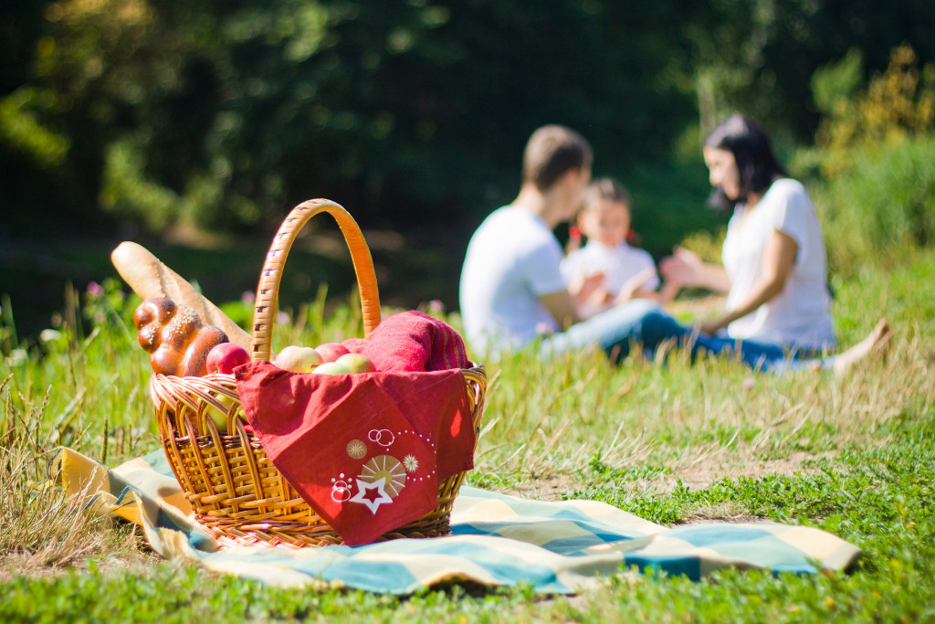 family picnic