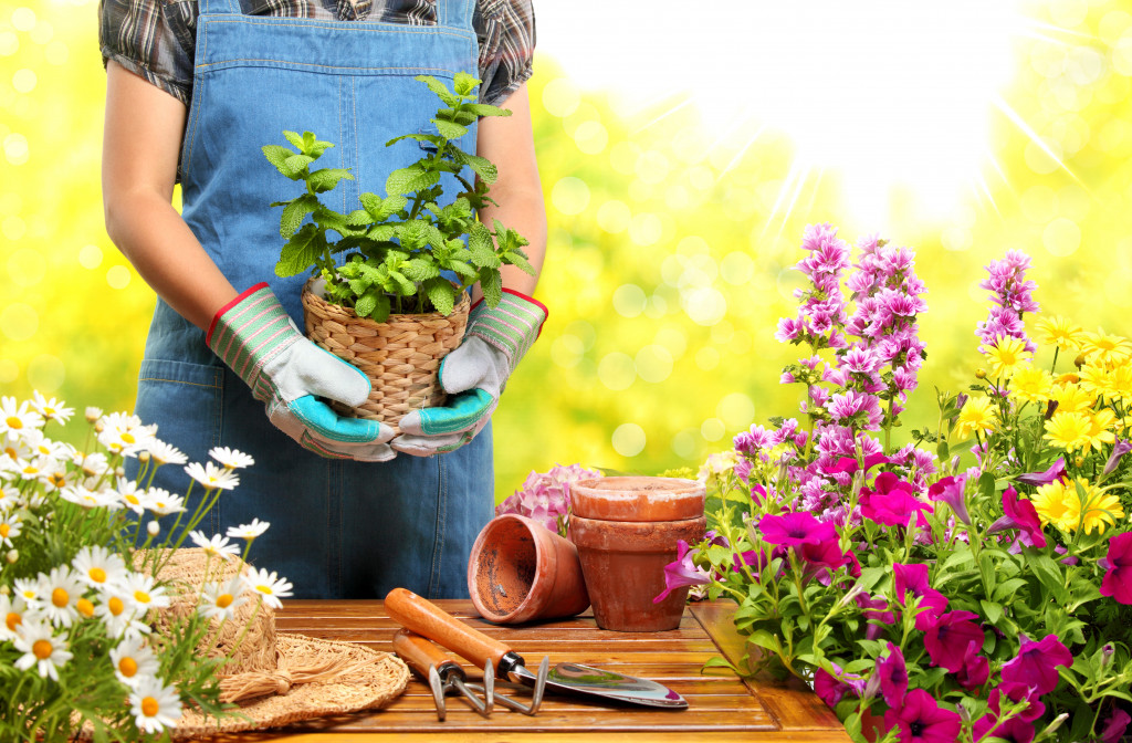 Gardener holding a pot with plant in garden